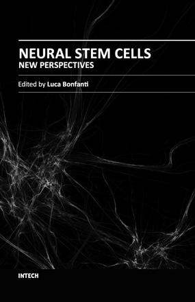 Cover-NSCs_-_NewPerspectives_new_copia_large