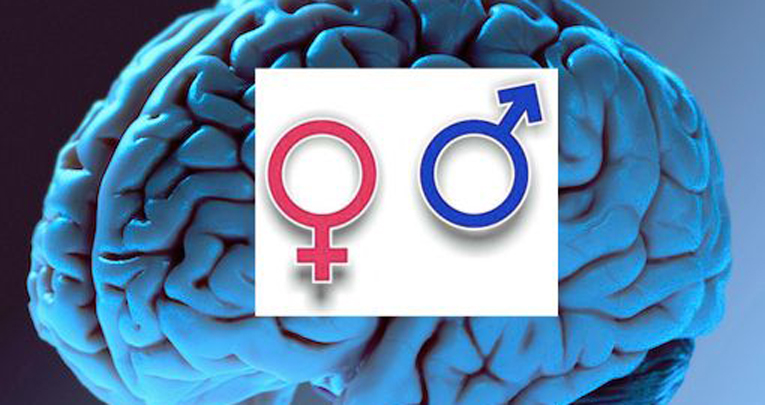 Structural and molecular brain sexual differences: a tool to understand sex differences in health and disease