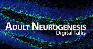 Adult Neurogenesis Digital Talks