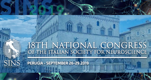 Alessandro Vercelli is the President Elect of the Italian Society for Neuroscience