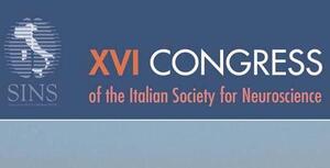 Cagliari, SINS CONGRESS 2015