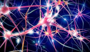 INN: Prospettive di Neuroscienze