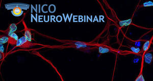 NICO NeuroWebinar 2022