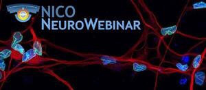 NICO NeuroWebinar 2023