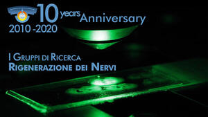 NICO10anni - I gruppi di ricerca: Rigenerazione dei Nervi