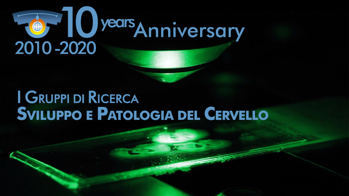 NICO10anni - I gruppi di ricerca: Sviluppo e patologia del cervello NICO10anni - I gruppi di ricerca: Sviluppo e patologia del cervello