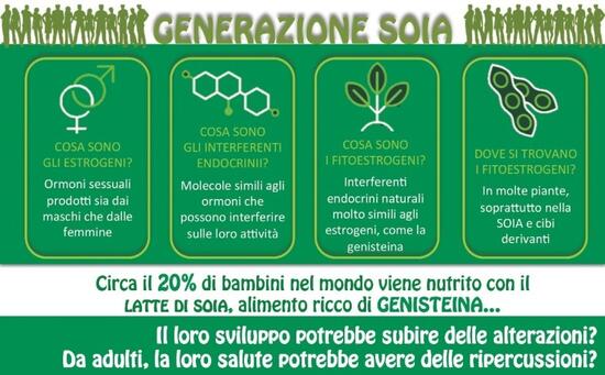 1 GENERAZIONE SOIA