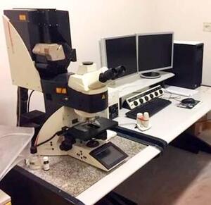 1 LEICA confocal microscope