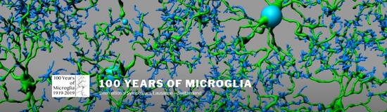 100YEARSmicroglia