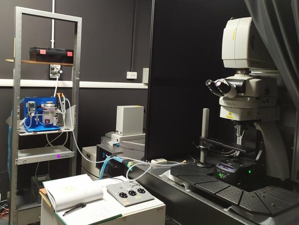 3 bis MICROSCOPE 2 PHOTON - web