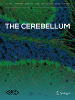 Cerebellum