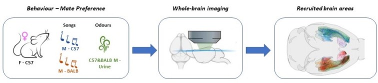 Figure2_MSCA