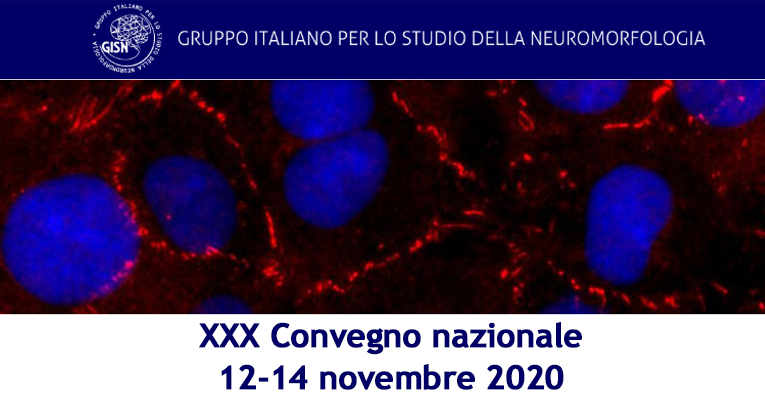 GISN_convegno2020