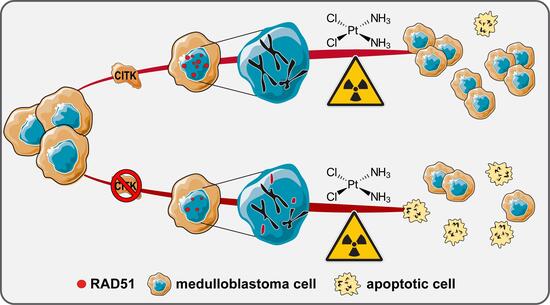 Graphical abstract1