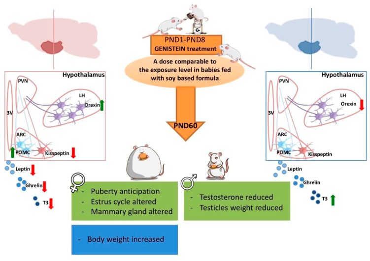 Graphical abstract