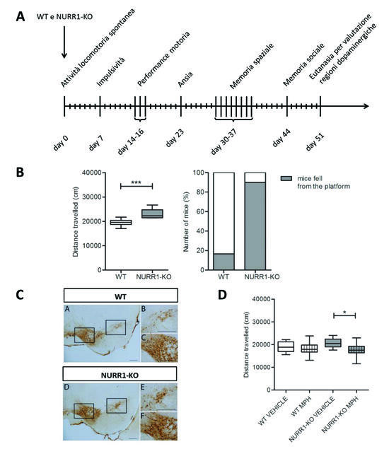 Graphical abstract_Montarolo