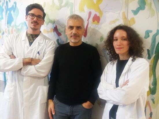 GruppoNICO_NeurogenesiEmbrionale