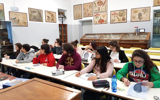 LICEO CLASS VITTORIO ALFIERI ASTI 3