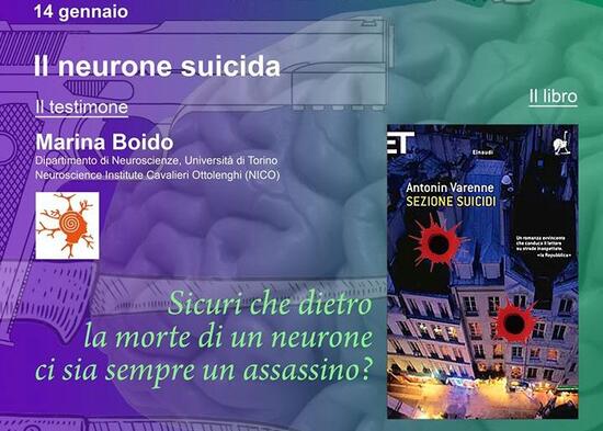 NeuroneSUICIDA_14genn - web