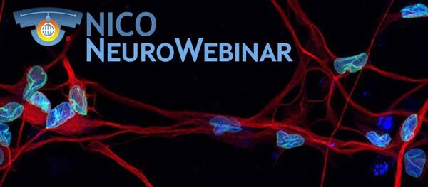 NeuroWebinar_sett2020