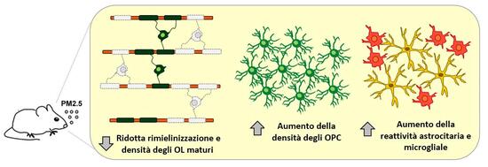 Parolisi_graphical astract_ITA