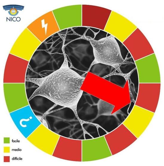 ruota_gioco_a_quiz