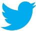 twitter-icona