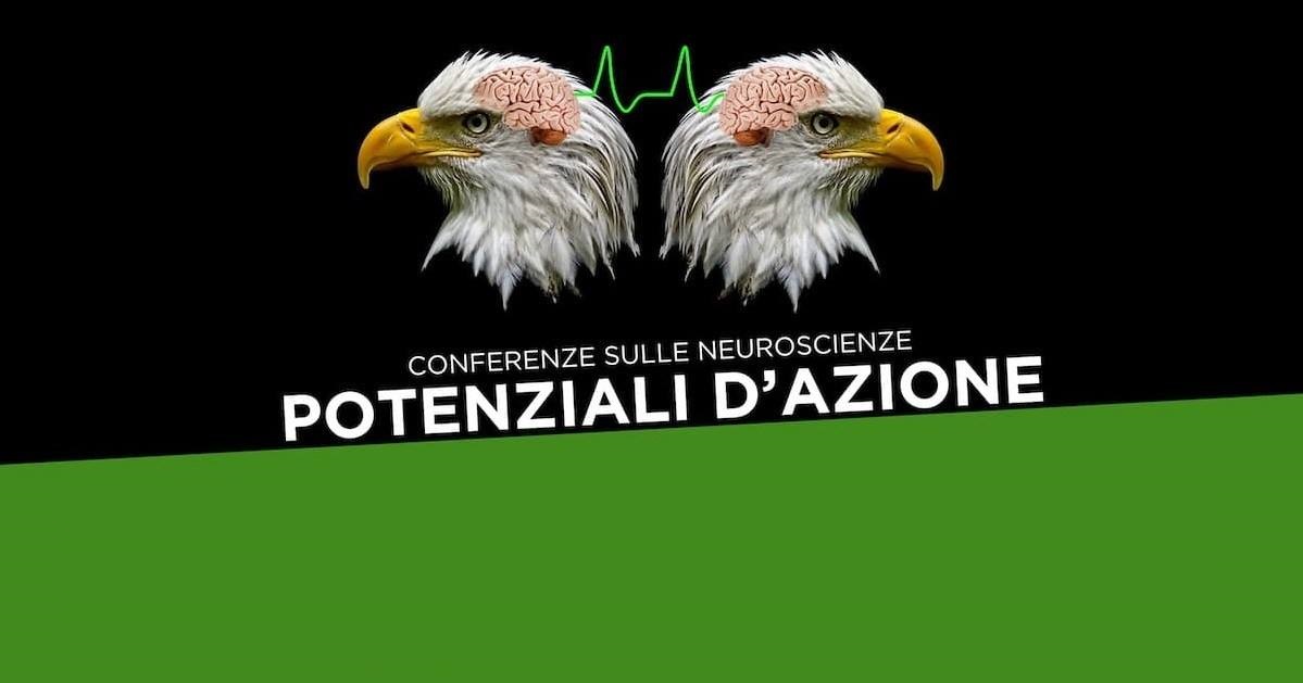 Il tesoro nascosto della ricerca di base Il tesoro nascosto della ricerca di base