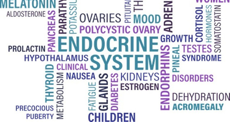 Interferenti endocrini: che cosa sono? Su cosa agiscono? Interferenti endocrini: che cosa sono? Su cosa agiscono?