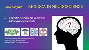 La ricerca in Neuroscienze: istruzioni per l’uso