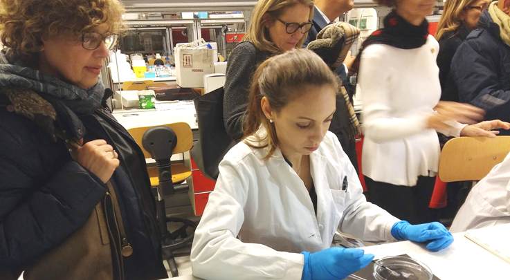 Metti una sera con il Club Rotary Torino Dora Metti una sera con il Club Rotary Torino Dora