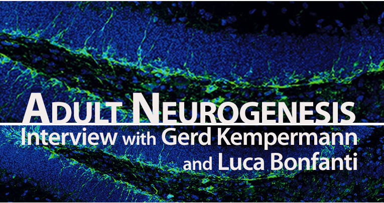 Neurogenesi adulta: intervista a Gerd Kempermann e Luca Bonfanti
