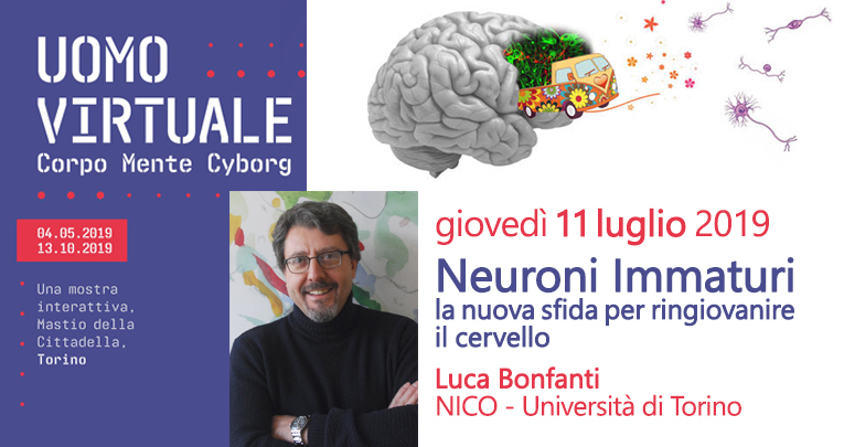 Neuroni immaturi Mostra Uomo Virtuale