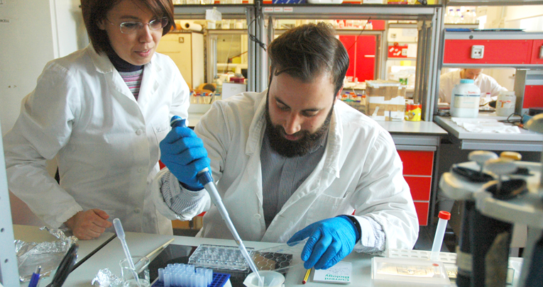 Proposta formativa per i docenti delle scuole medie superiori Proposta formativa per i docenti delle scuole medie superiori