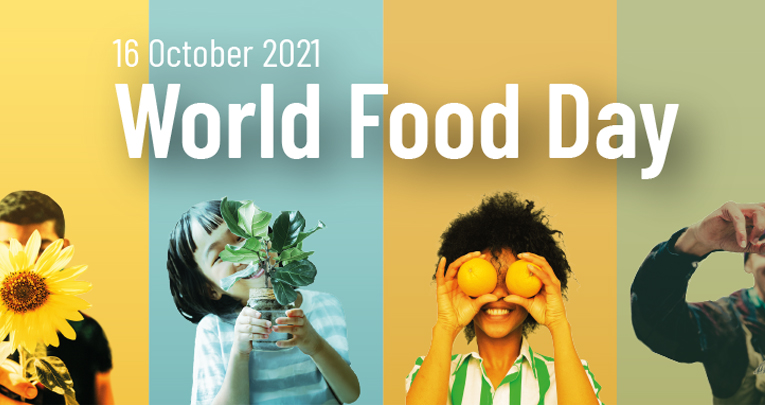 World Food Day: i nostri studi sugli effetti dei fitoestrogeni World Food Day: i nostri studi sugli effetti dei fitoestrogeni