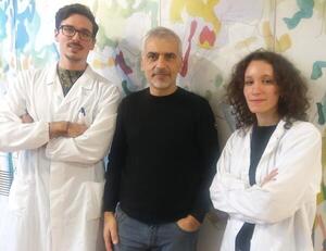 DiCunto_gruppoNICO_2020 DiCunto_gruppoNICO_2020