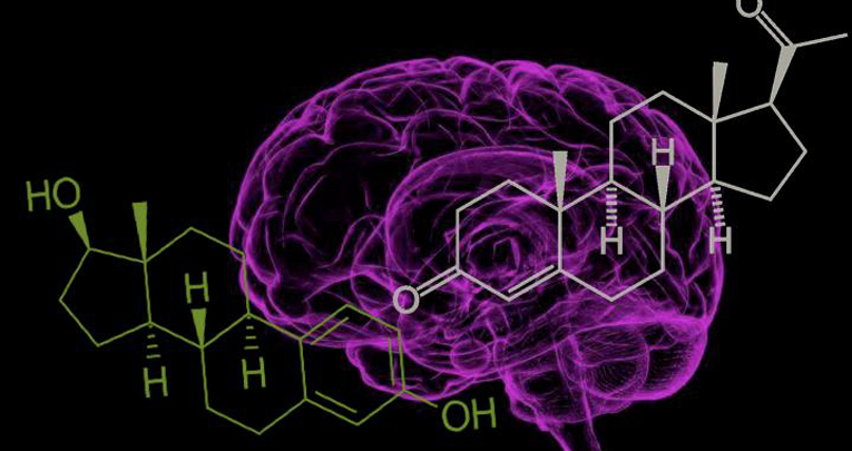 Due ormoni, una diversa regolazione: come estrogeno e progesterone controllano il sistema kisspeptina