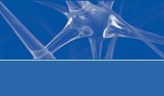 Frontiers in Neuroscience, E.Cattaneo e L.Bonfanti Frontiers in Neuroscience, E.Cattaneo e L.Bonfanti