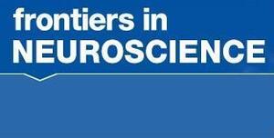  Frontiers in Neuroscience, P.Peretto - L.Bonfanti