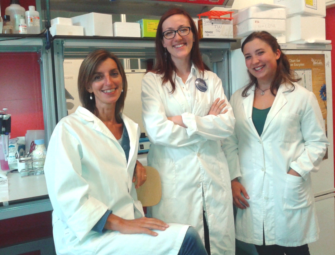 Gemelle, ma diverse: come nascono e si rinnovano le cellule che formano la mielina del cervello Gemelle, ma diverse: come nascono e si rinnovano le cellule che formano la mielina del cervello