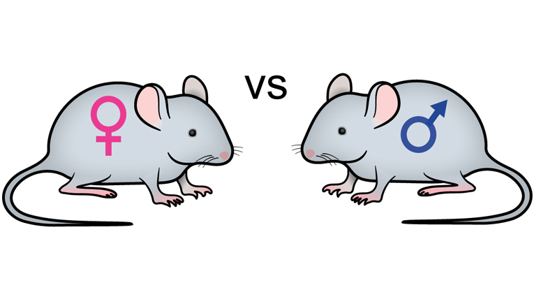 Conditional inactivation of Npy1r gene in mice induces sex-related differences of metabolic and behavioral functions