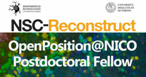 OpenPosition@NICO - prof. Buffo NSC-RECONSTRUCT