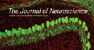 The Journal of Neuroscience