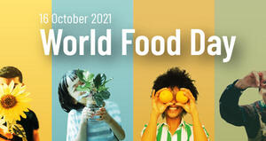 World Food Day: i nostri studi sugli effetti dei fitoestrogeni