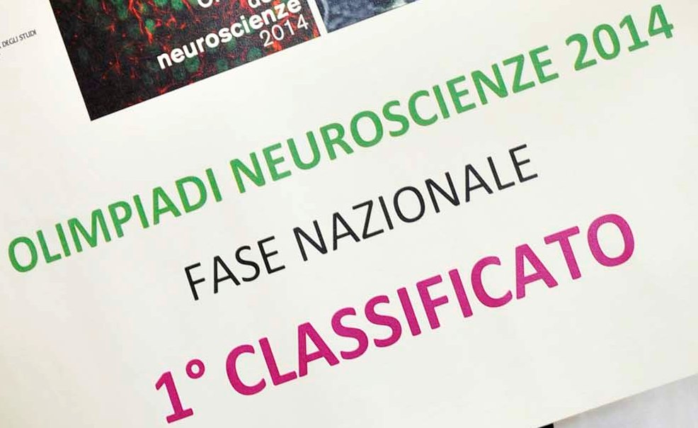 Anna Pan di Novara ha vinto le Olimpiadi delle Neuroscienze Anna Pan di Novara ha vinto le Olimpiadi delle Neuroscienze