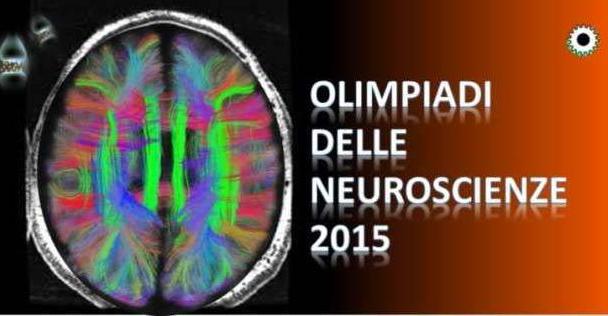 Olimpiadi delle Neuroscienze - 400 studenti in gara in Piemonte Olimpiadi delle Neuroscienze - 400 studenti in gara in Piemonte